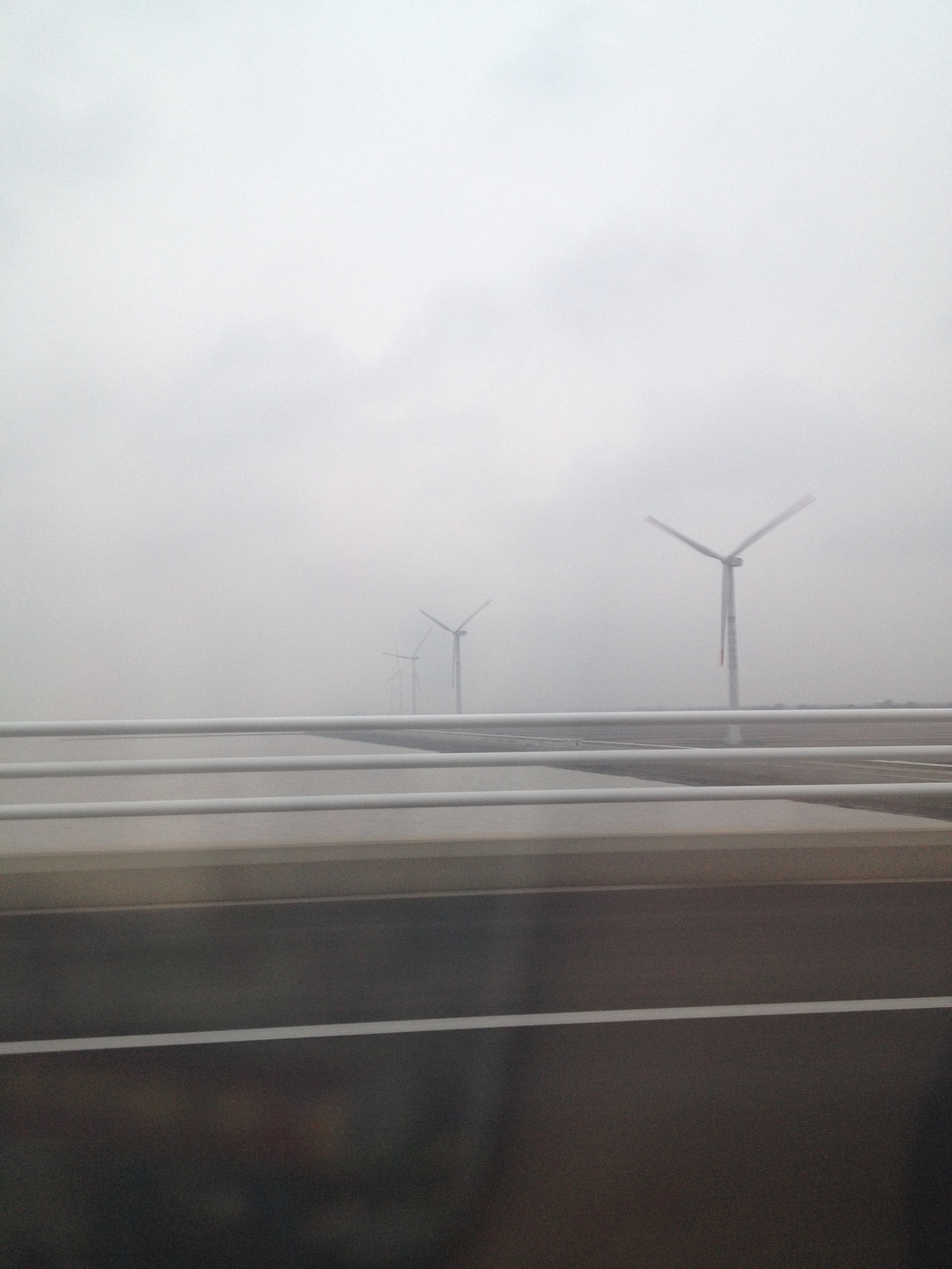 New Red House Restaurant, Chongming Island — photo 2