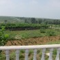 An Organic Farm in Dalian
