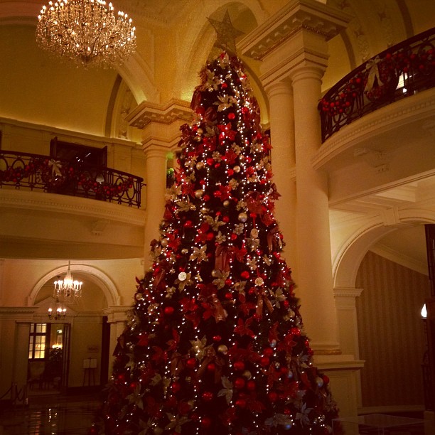 Instagram Post — December 23, 2011