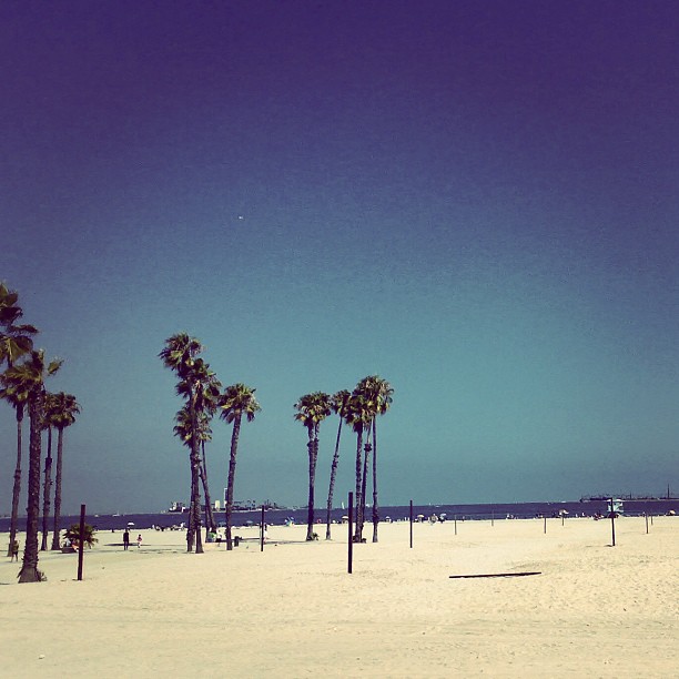 Instagram Post — January 11, 2012