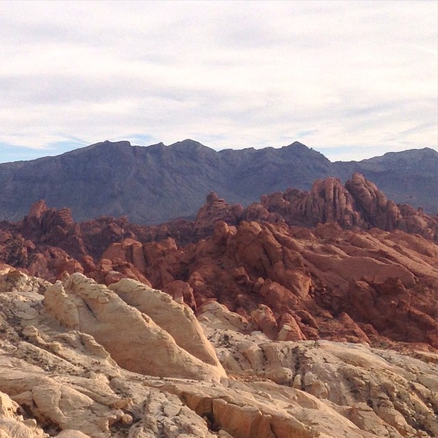 Instagram Post — February 20, 2015