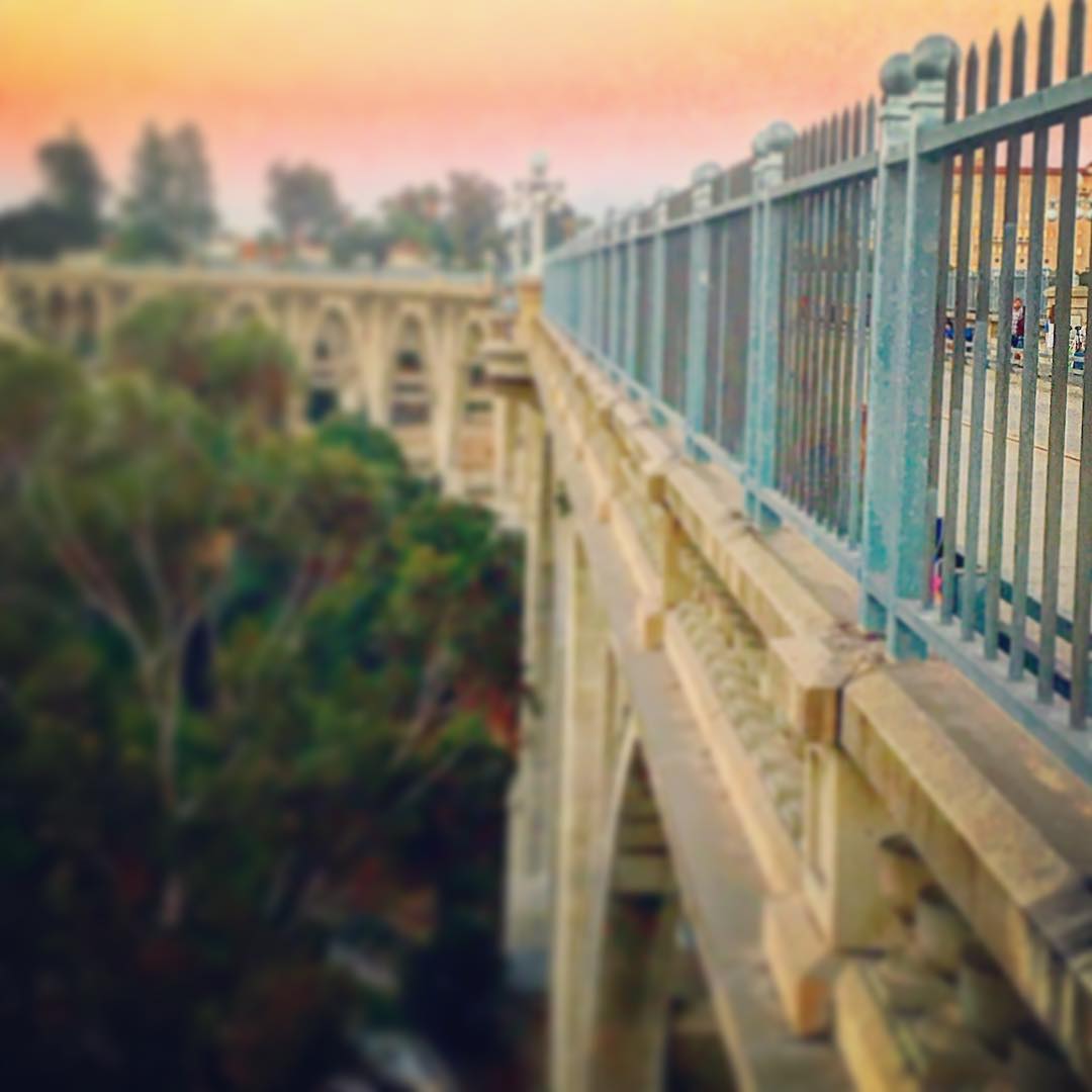 Instagram Post — July 04, 2016