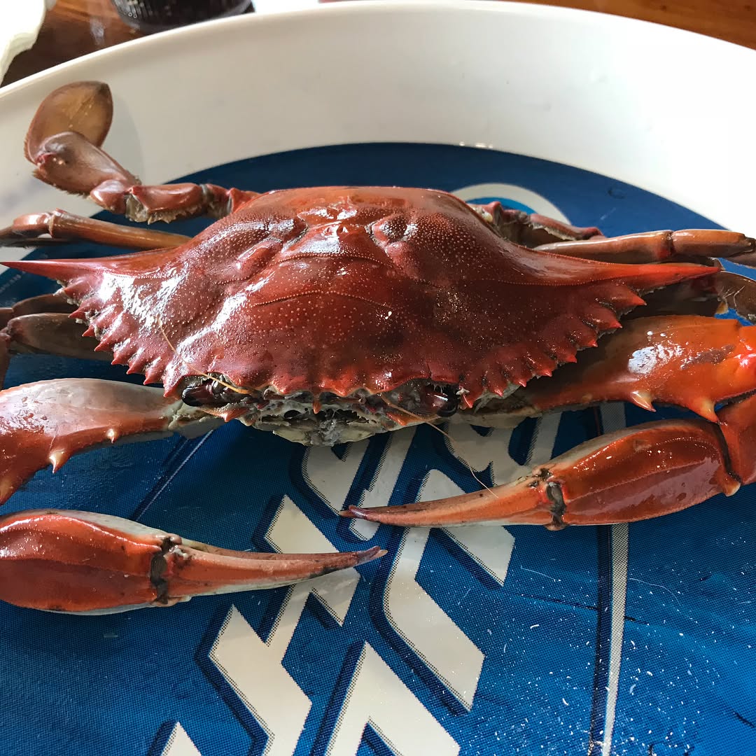 Catfish and seafood at the world famous thin fried catfish, boiled blue crab,...