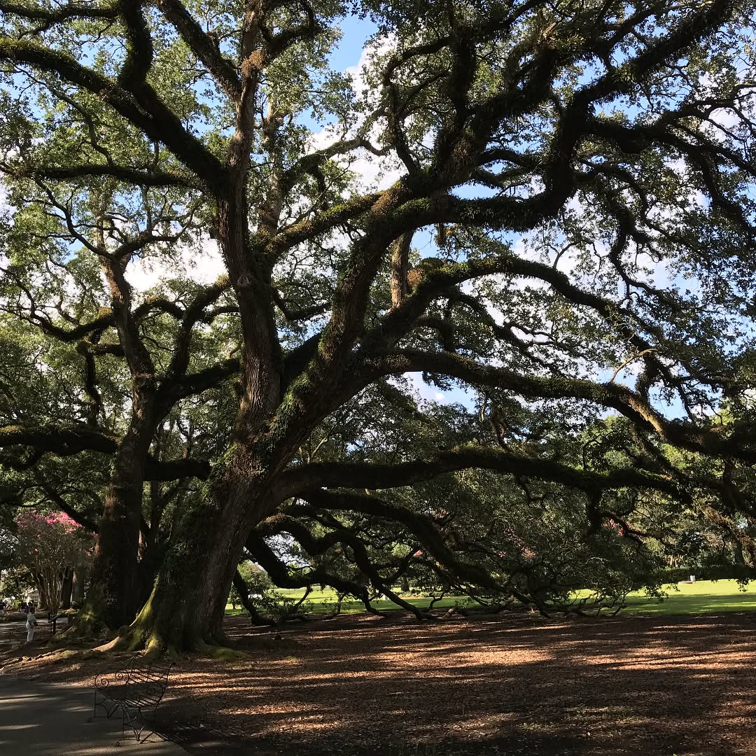 Instagram Post — July 08, 2017