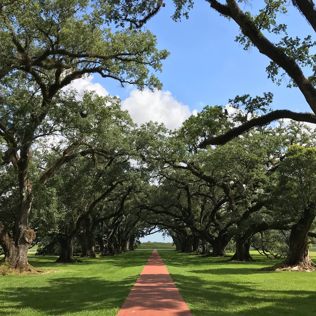 Instagram Post — July 08, 2017