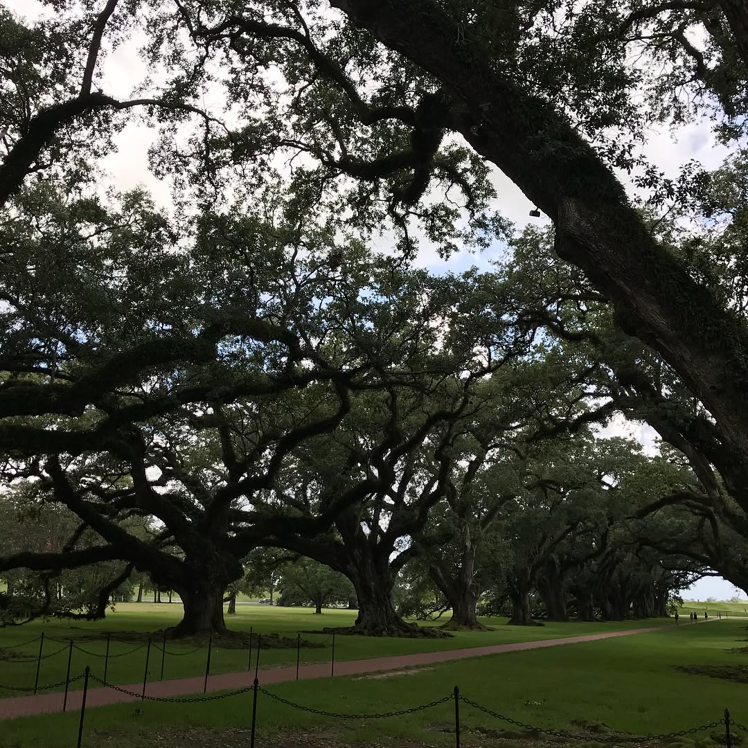 Instagram Post — July 08, 2017