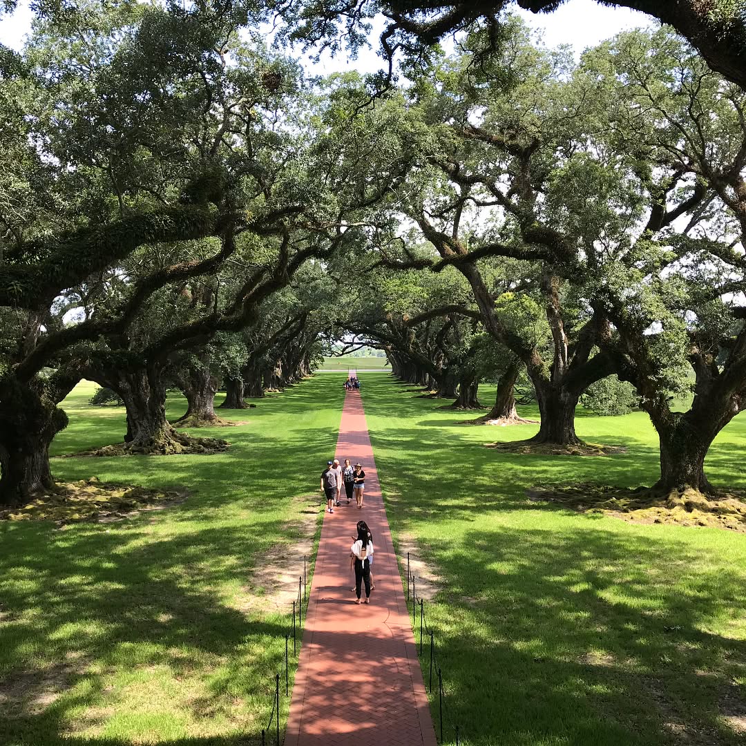 Instagram Post — July 08, 2017