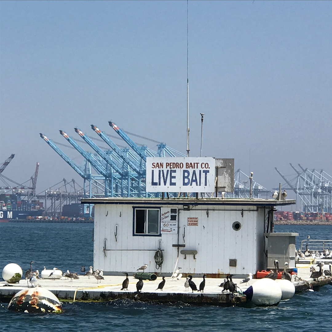 6 hour fishing tour, sounds like Gilligan’s Island