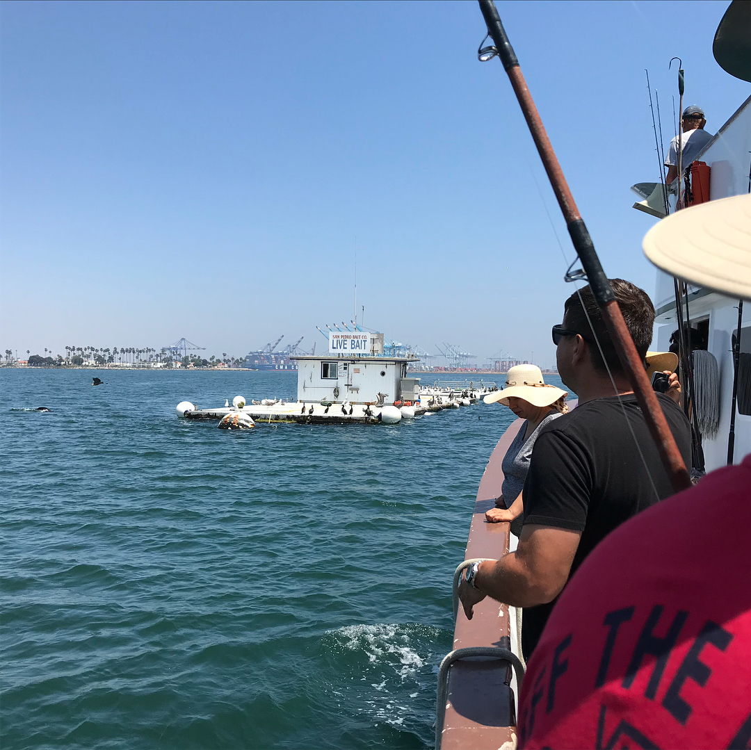 6 hour fishing tour, sounds like Gilligan’s Island