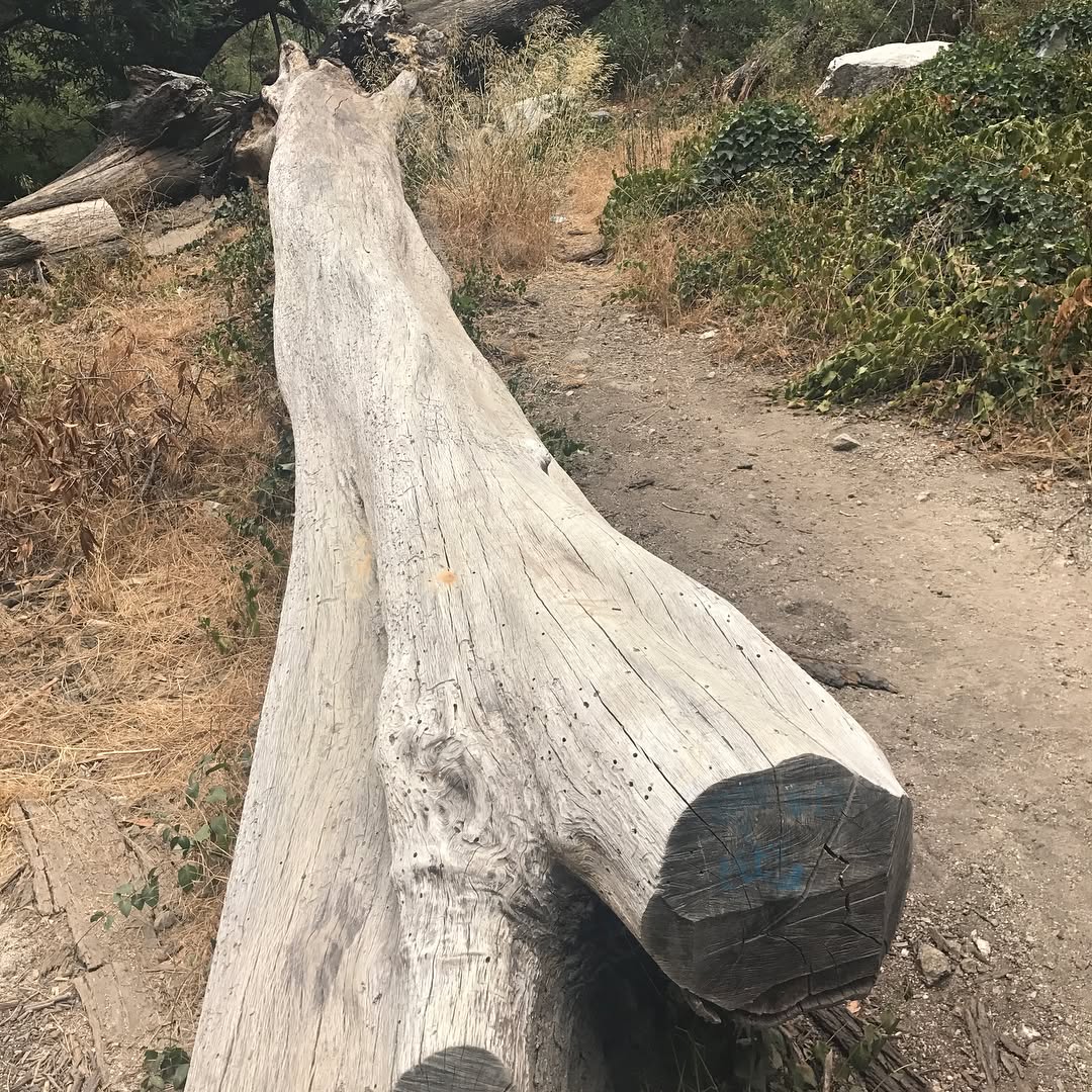 First hike ever to Chantry Flats and Sturtevant Falls