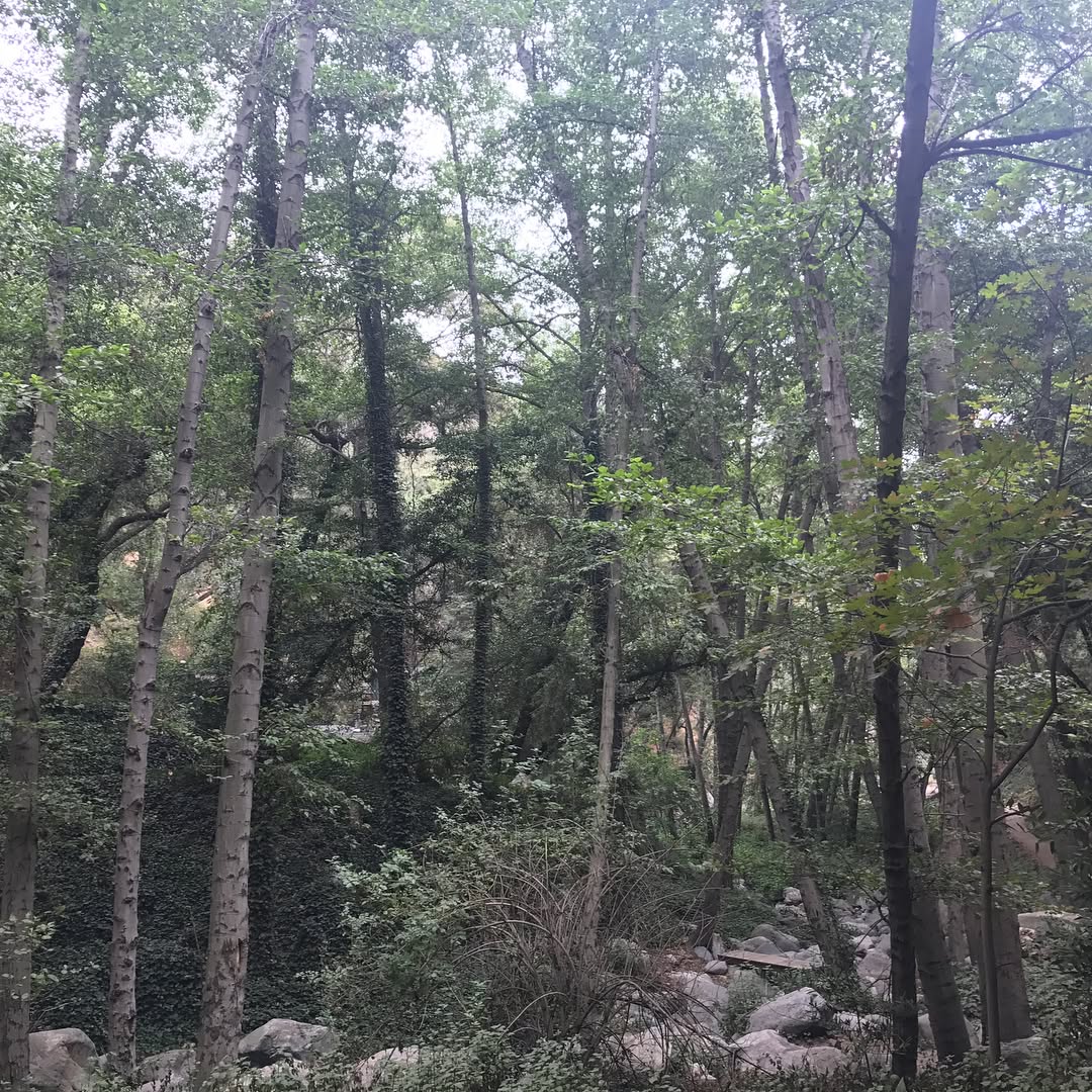 First hike ever to Chantry Flats and Sturtevant Falls