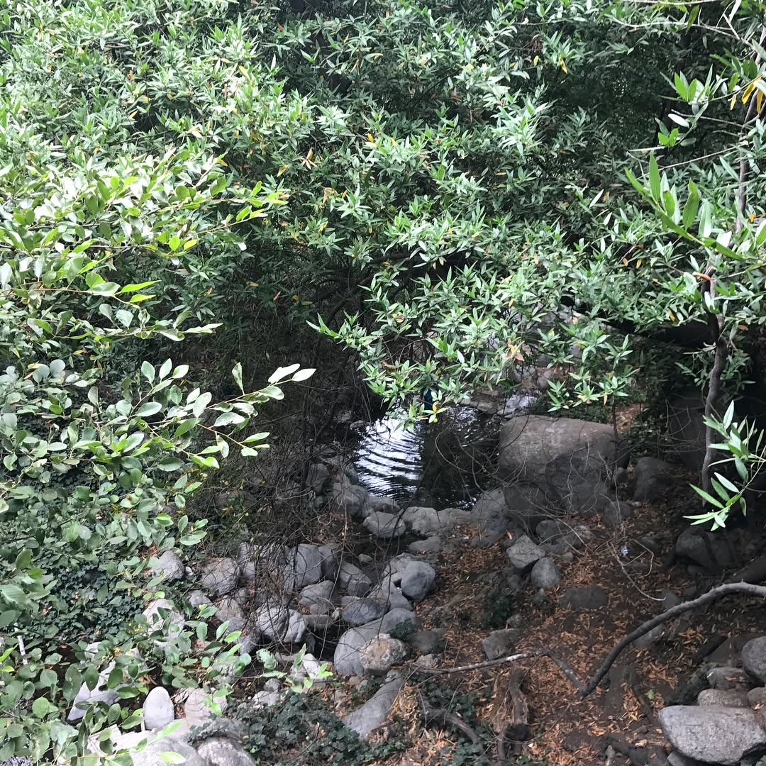 First hike ever to Chantry Flats and Sturtevant Falls