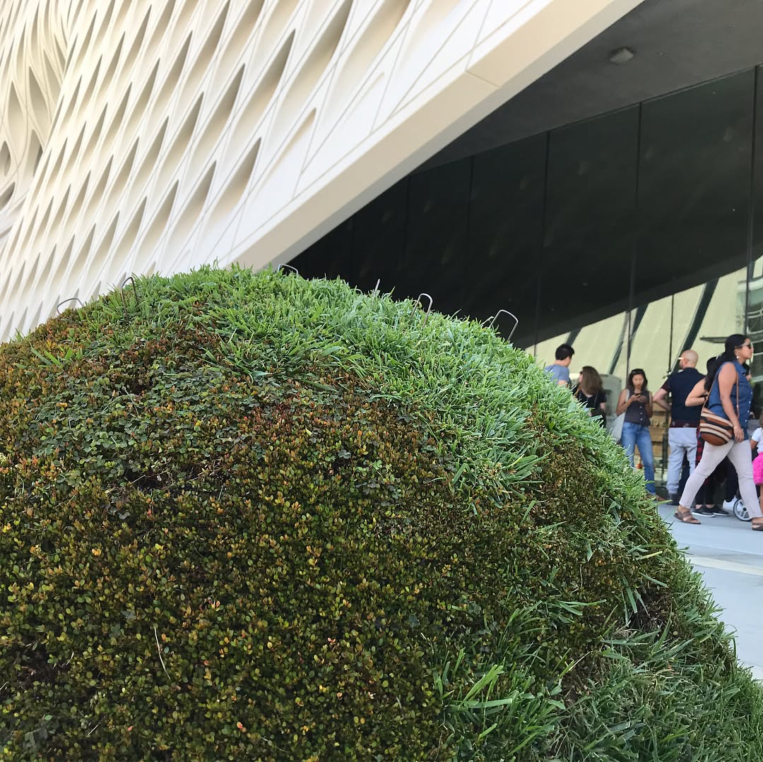 Our 3rd visit to The Broad