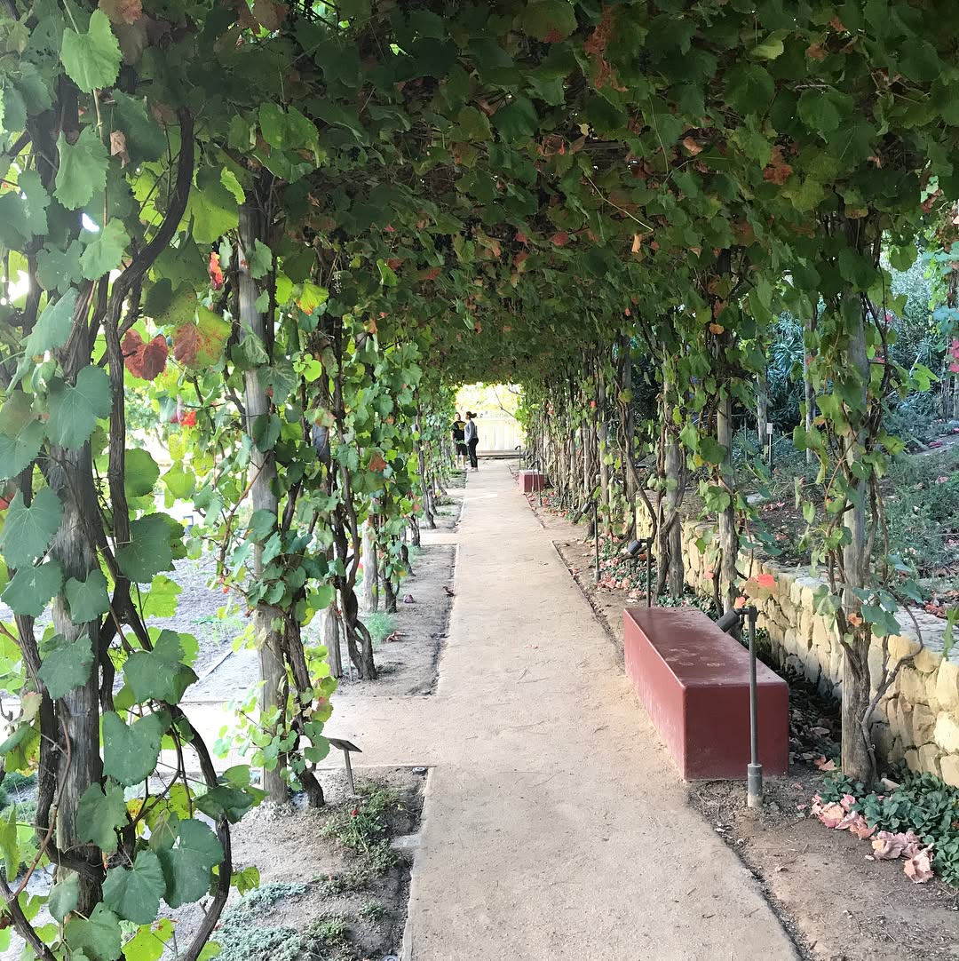 Getty Villa museum exterior