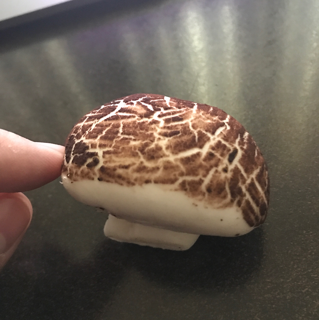 Is it a mushroom or a bao?  It’s a yummy bao