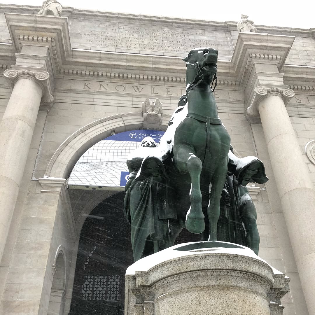 On this Snow day we braved the unexpected lines at the American Natural Histo...