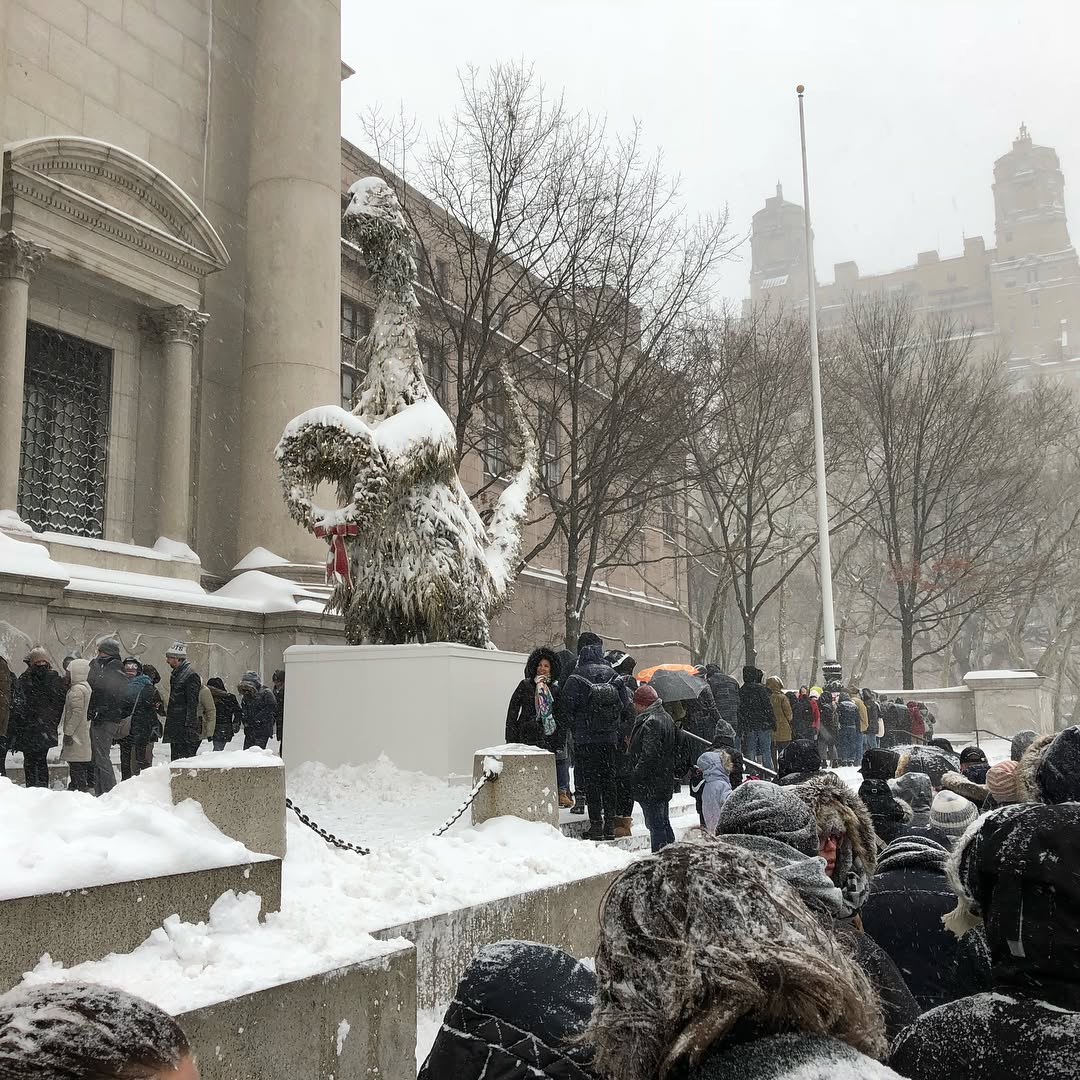 On this Snow day we braved the unexpected lines at the American Natural Histo...