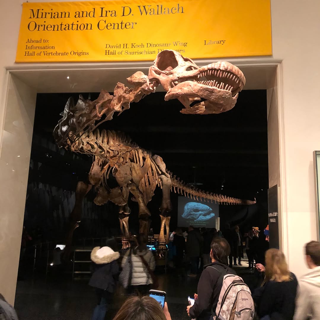 On this Snow day we braved the unexpected lines at the American Natural Histo...