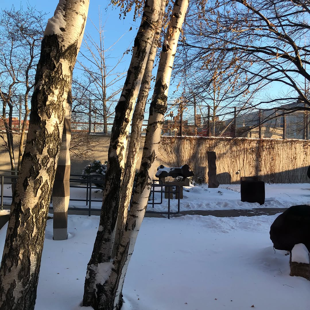 Sculptures  TIL a lot about the most well know Japanese American Sculpture