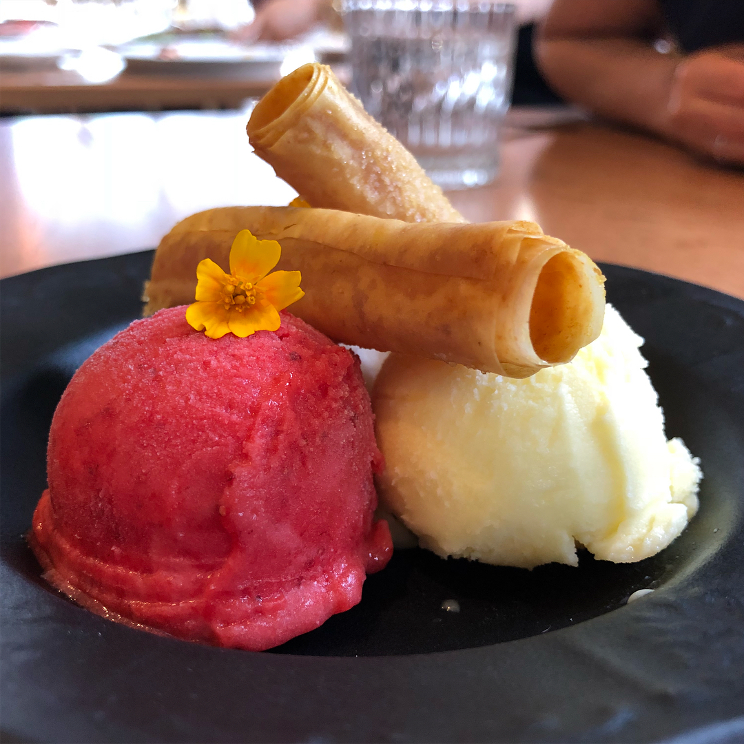 Wonderful dinner at Bavel, sister restaurant of Bestia