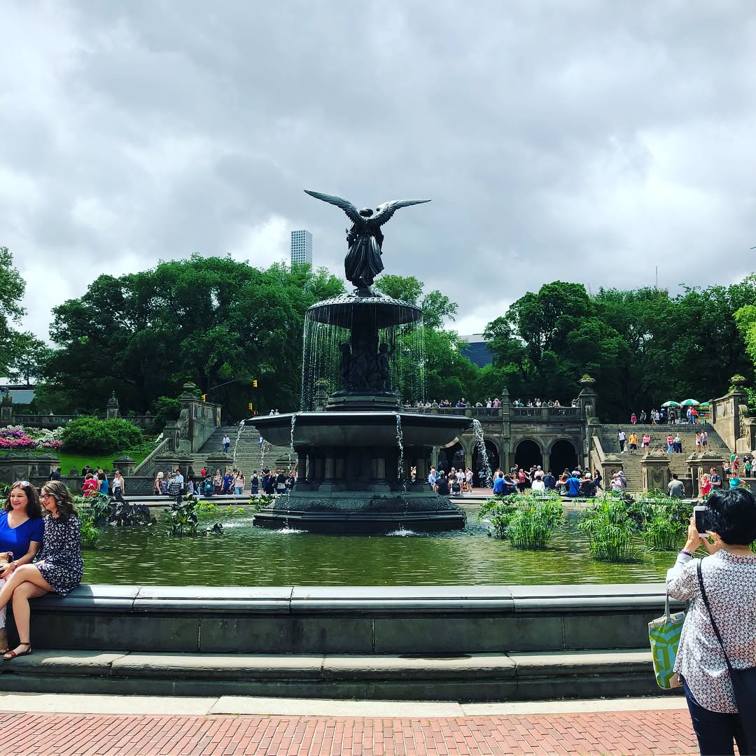Central Park with sights of the Bethesda Fountain, the Pond, Statues, and som...