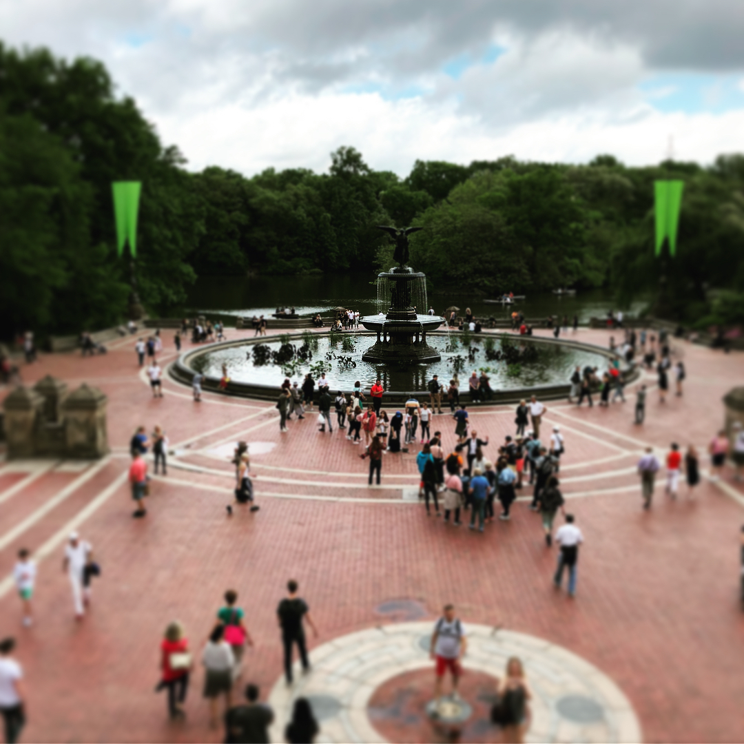 Central Park with sights of the Bethesda Fountain, the Pond, Statues, and som...