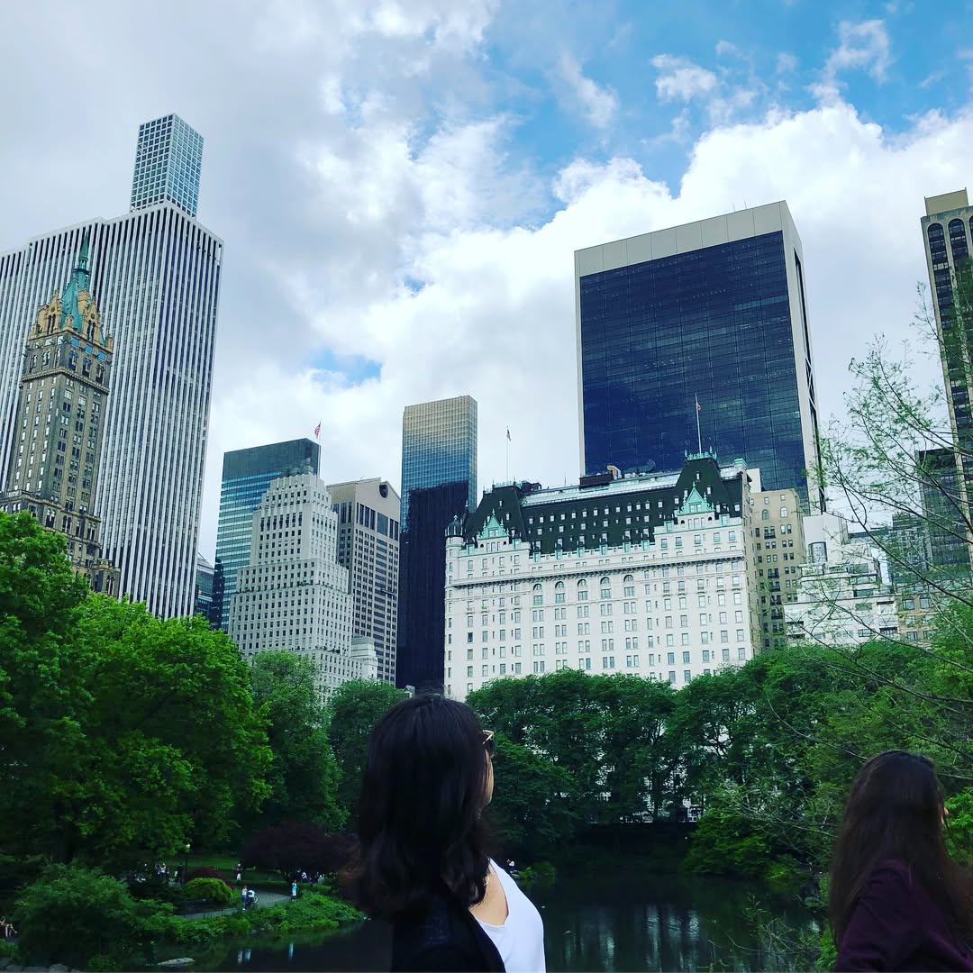 Central Park with sights of the Bethesda Fountain, the Pond, Statues, and som...