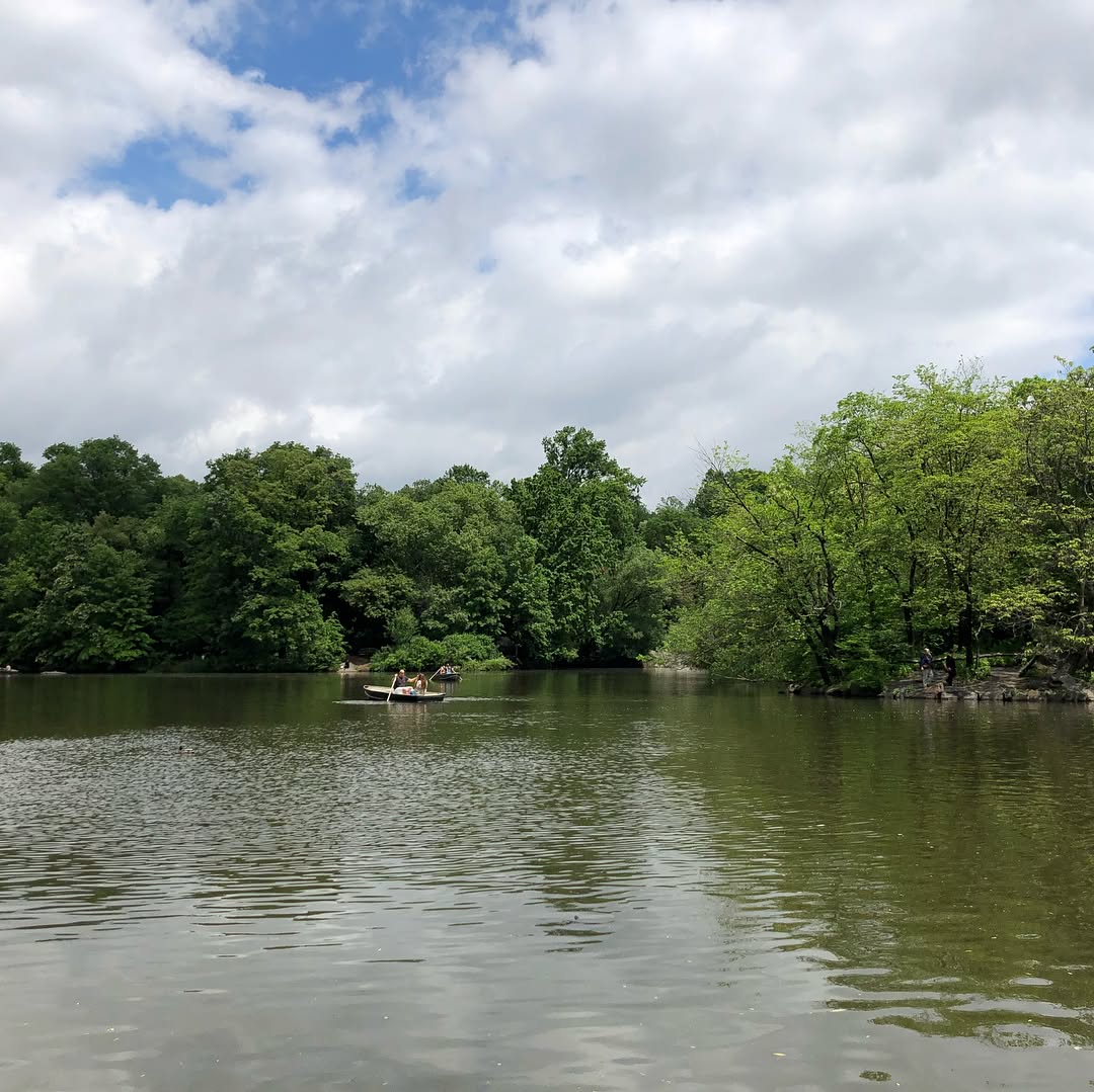 Central Park with sights of the Bethesda Fountain, the Pond, Statues, and som...