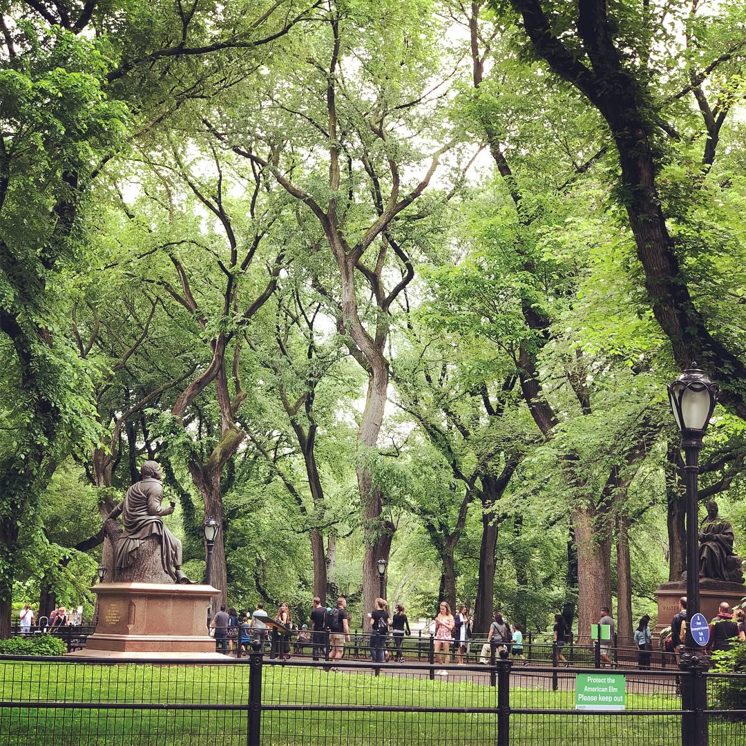 Central Park with sights of the Bethesda Fountain, the Pond, Statues, and som...