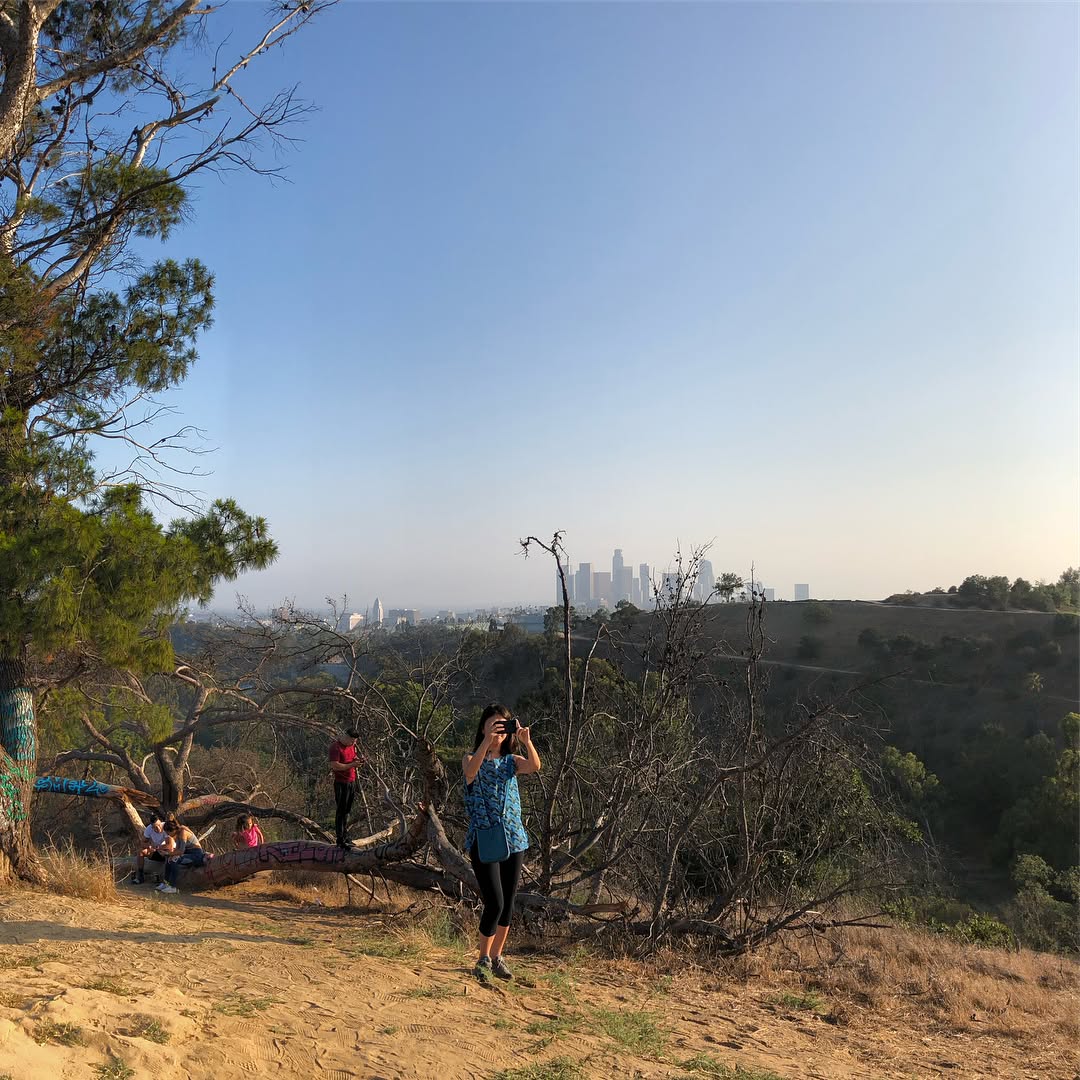 Found the Secret Swing in Elysian Park