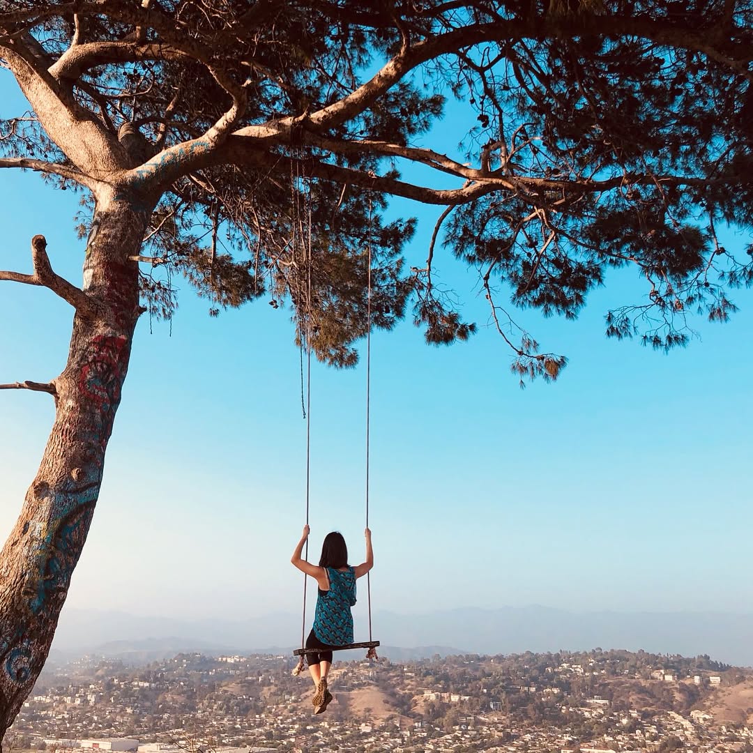 Found the Secret Swing in Elysian Park