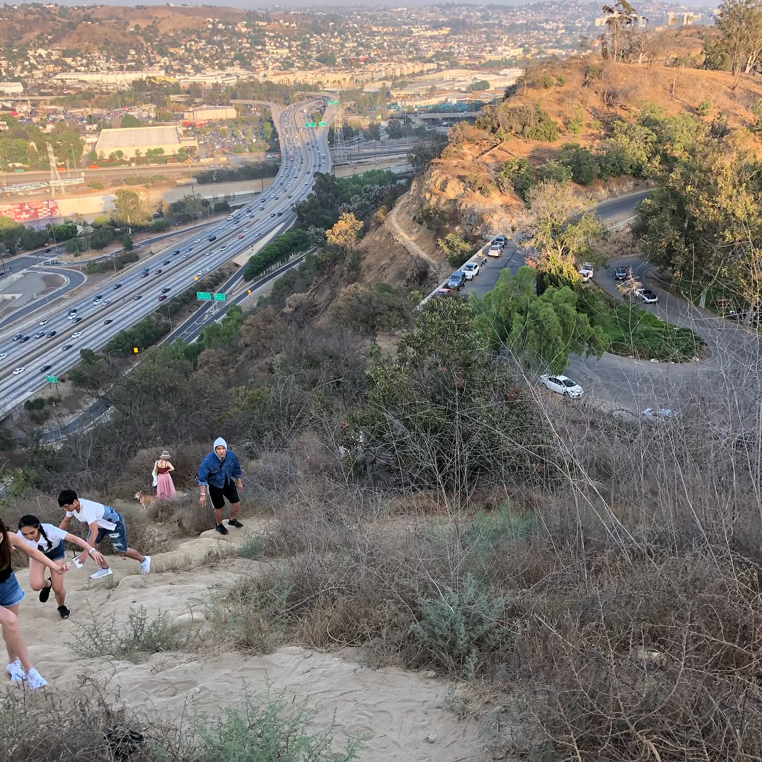 Found the Secret Swing in Elysian Park
