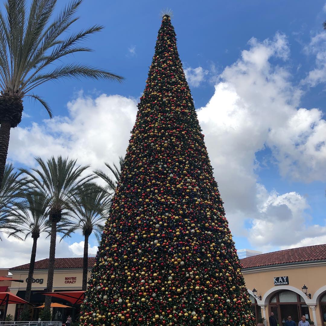 Tender greens and a big add Christmas tree