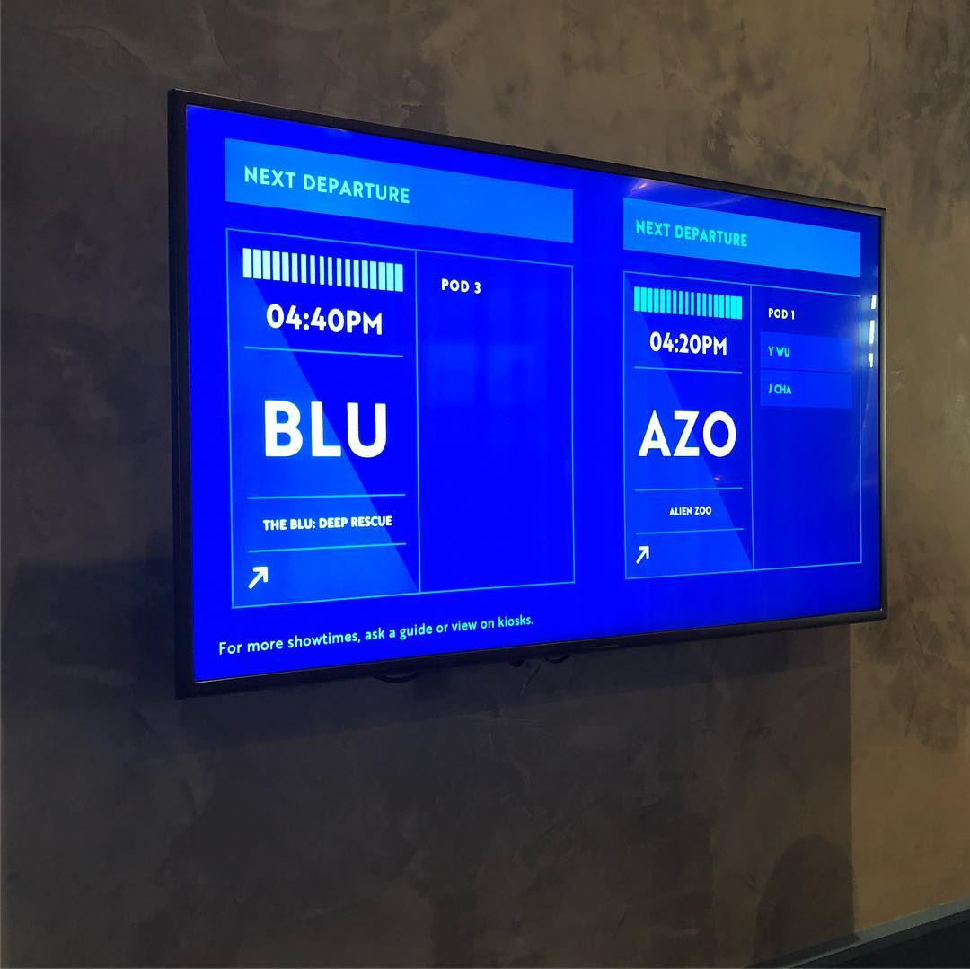 Wild Animals seen in Century City