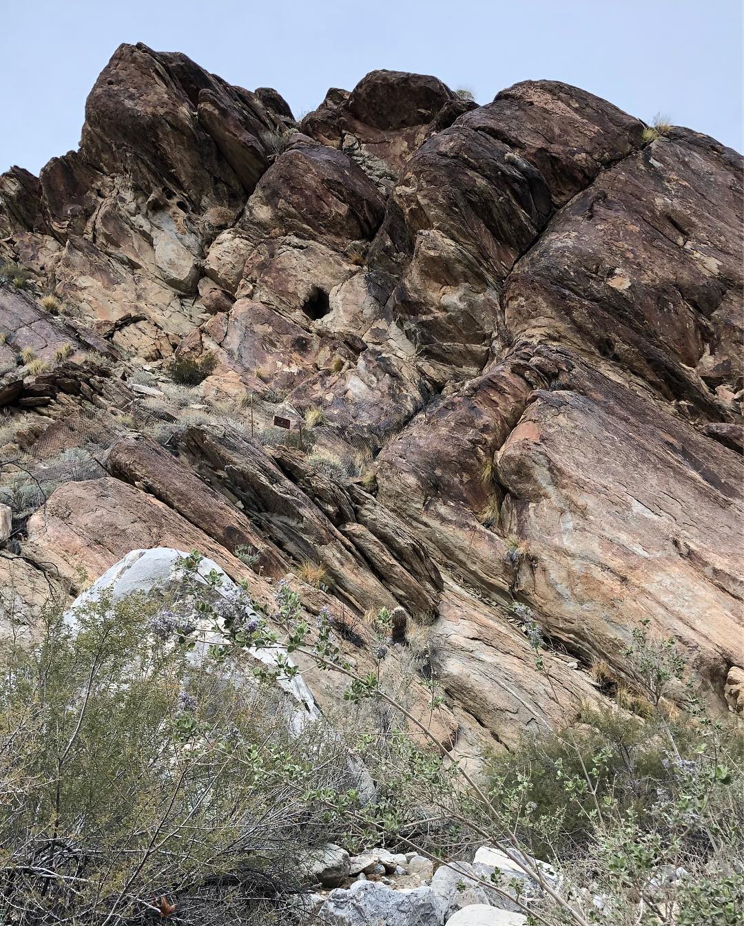 Andreas Canyons near Palm Springs