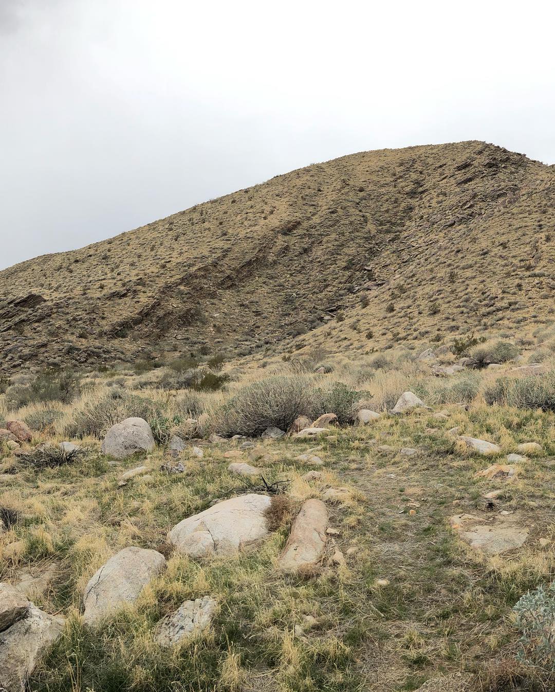 Andreas Canyons near Palm Springs