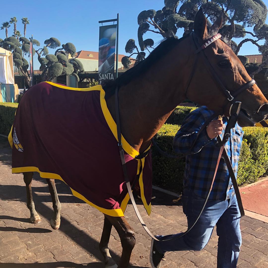 Might be the best corned beef sandwich I’ve ever had