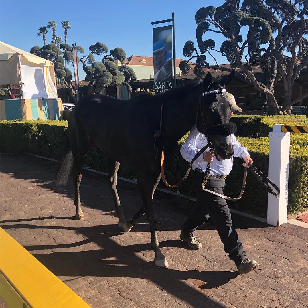 Might be the best corned beef sandwich I’ve ever had