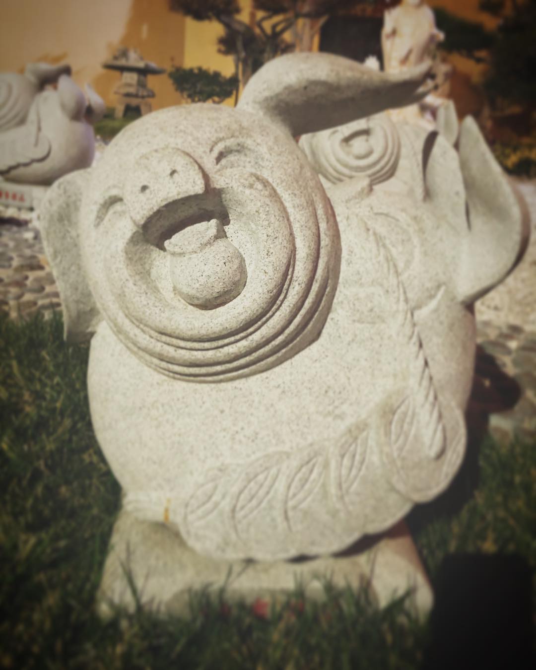 Instagram Post — February 25, 2019