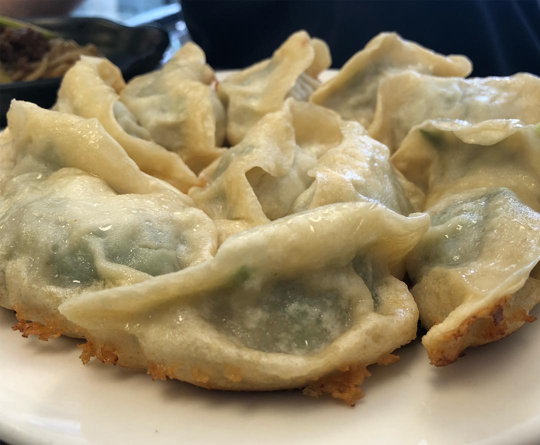 Pan fried bread pork and cabbage dumplings, pan fried pork and leek dumplings...