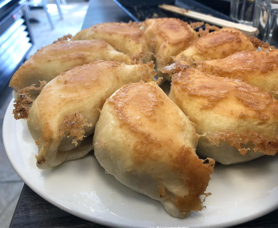 Pan fried bread pork and cabbage dumplings, pan fried pork and leek dumplings...