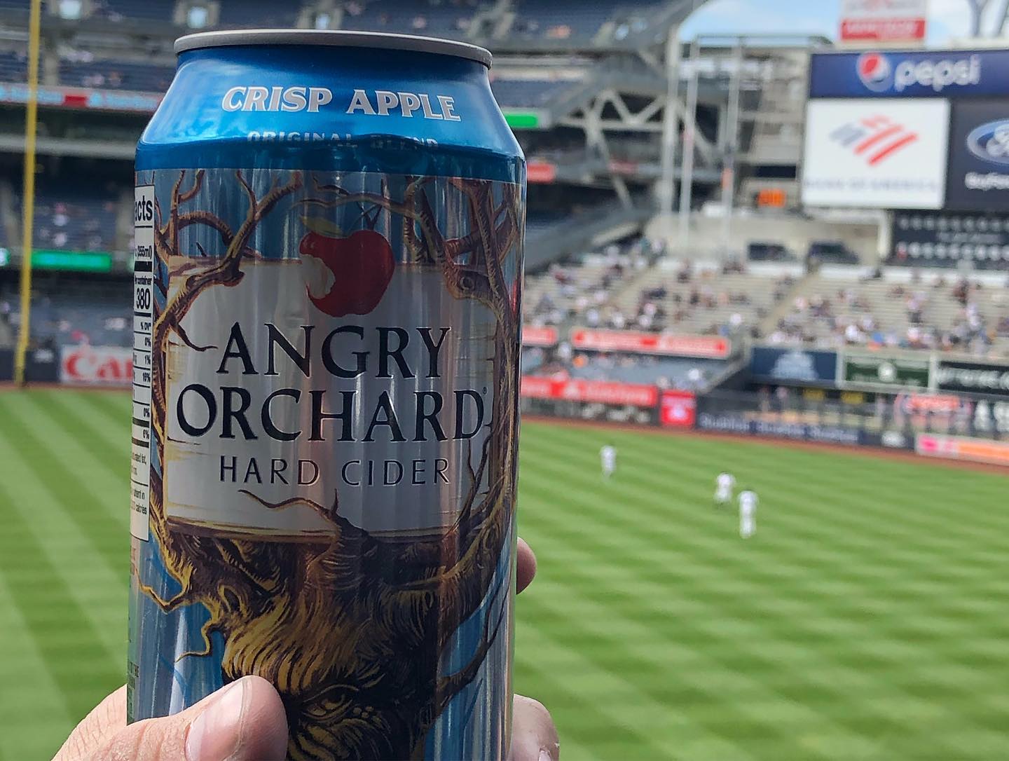 Doubleheader at Yankee stadium watching Baltimore at New York