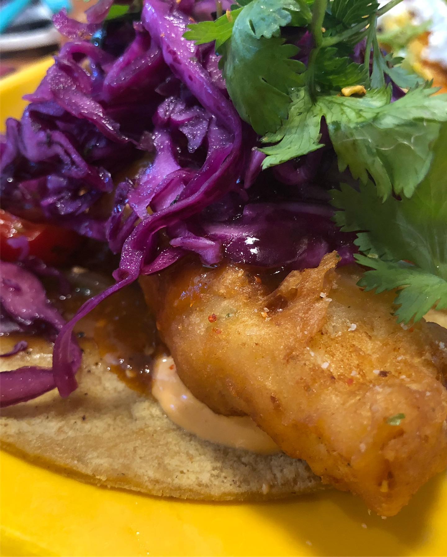 The pig at Guerrilla Tacos