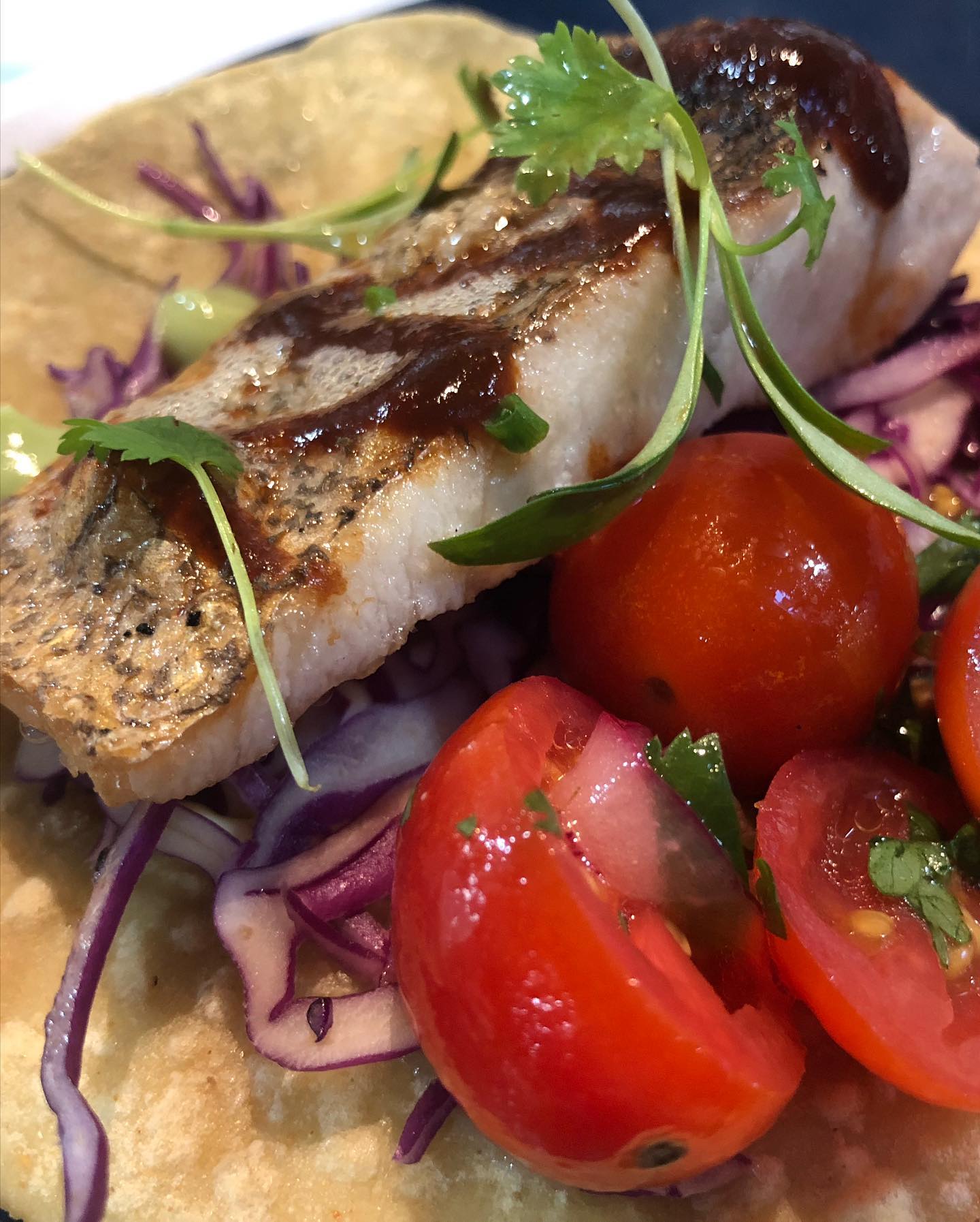 Kanpachi ceviche, fish taco, and octopus taco at Holbox at the Mercado, near USC