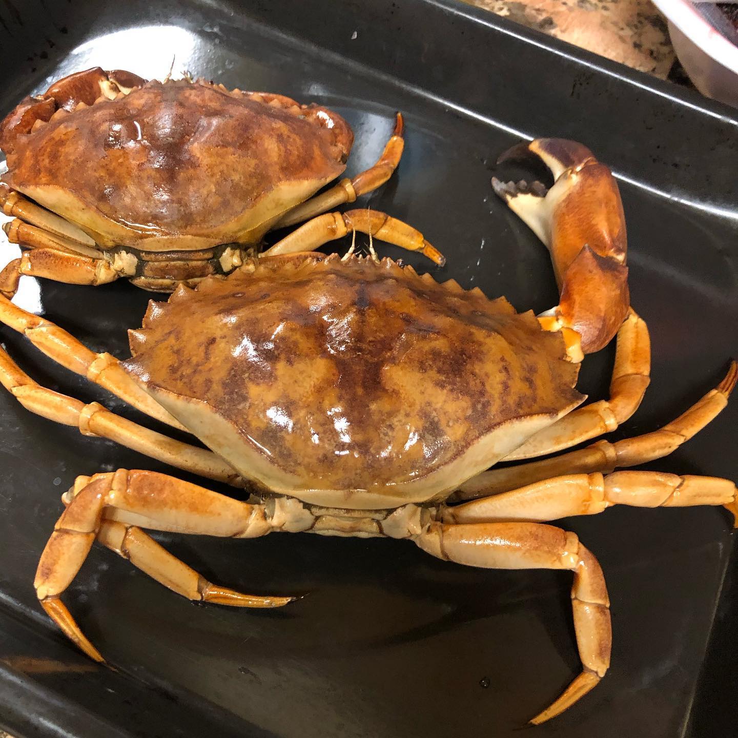 Went to Dory Fleet Seafood Marley last Saturday