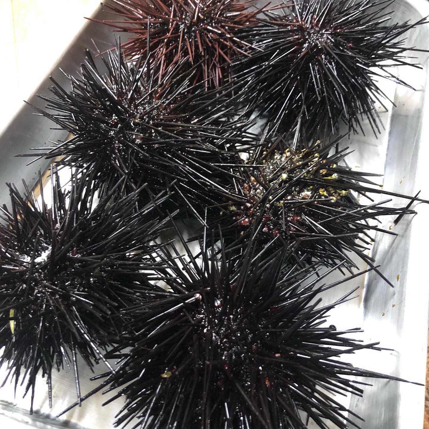 Went to Dory Fleet Seafood Marley last Saturday