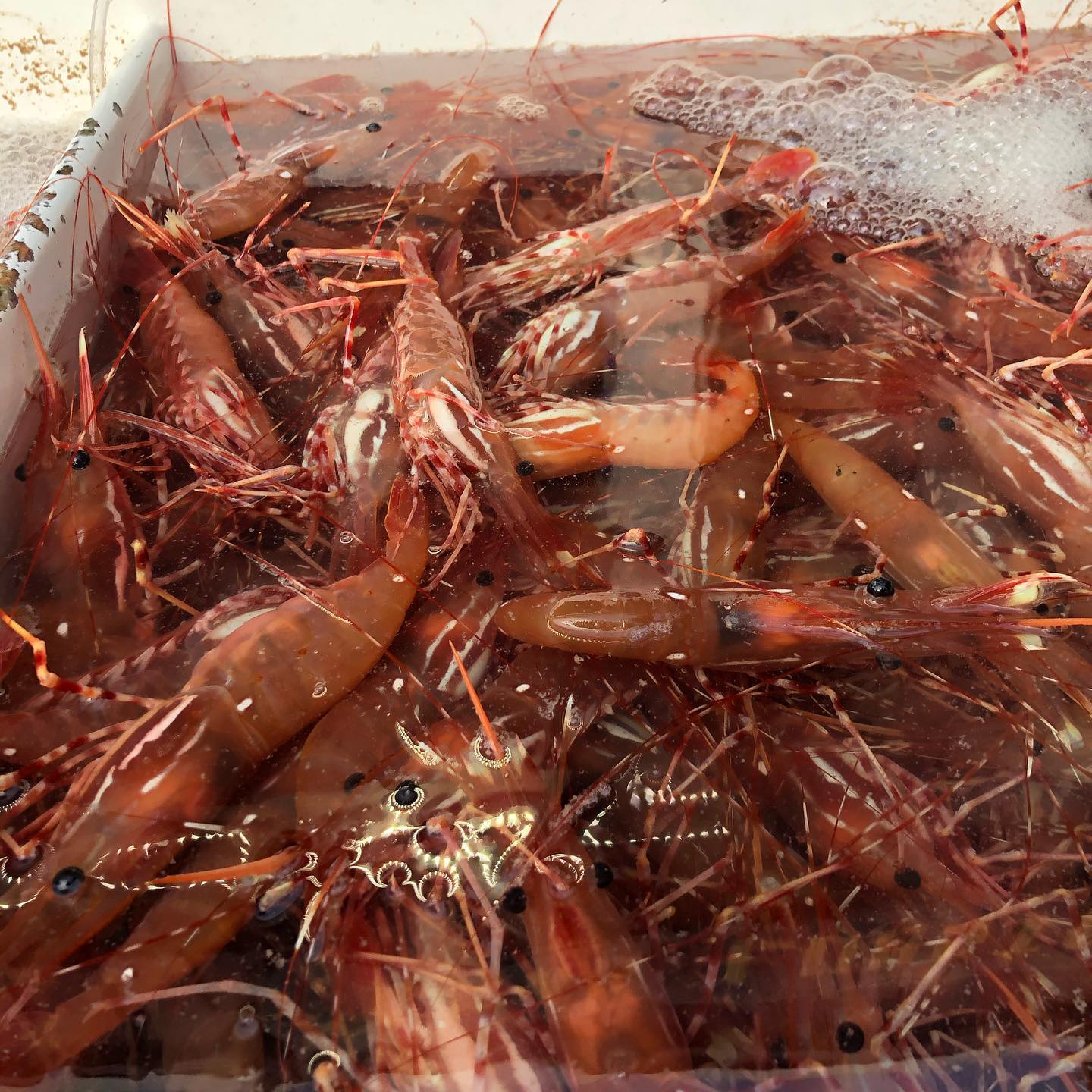 Went to Dory Fleet Seafood Marley last Saturday