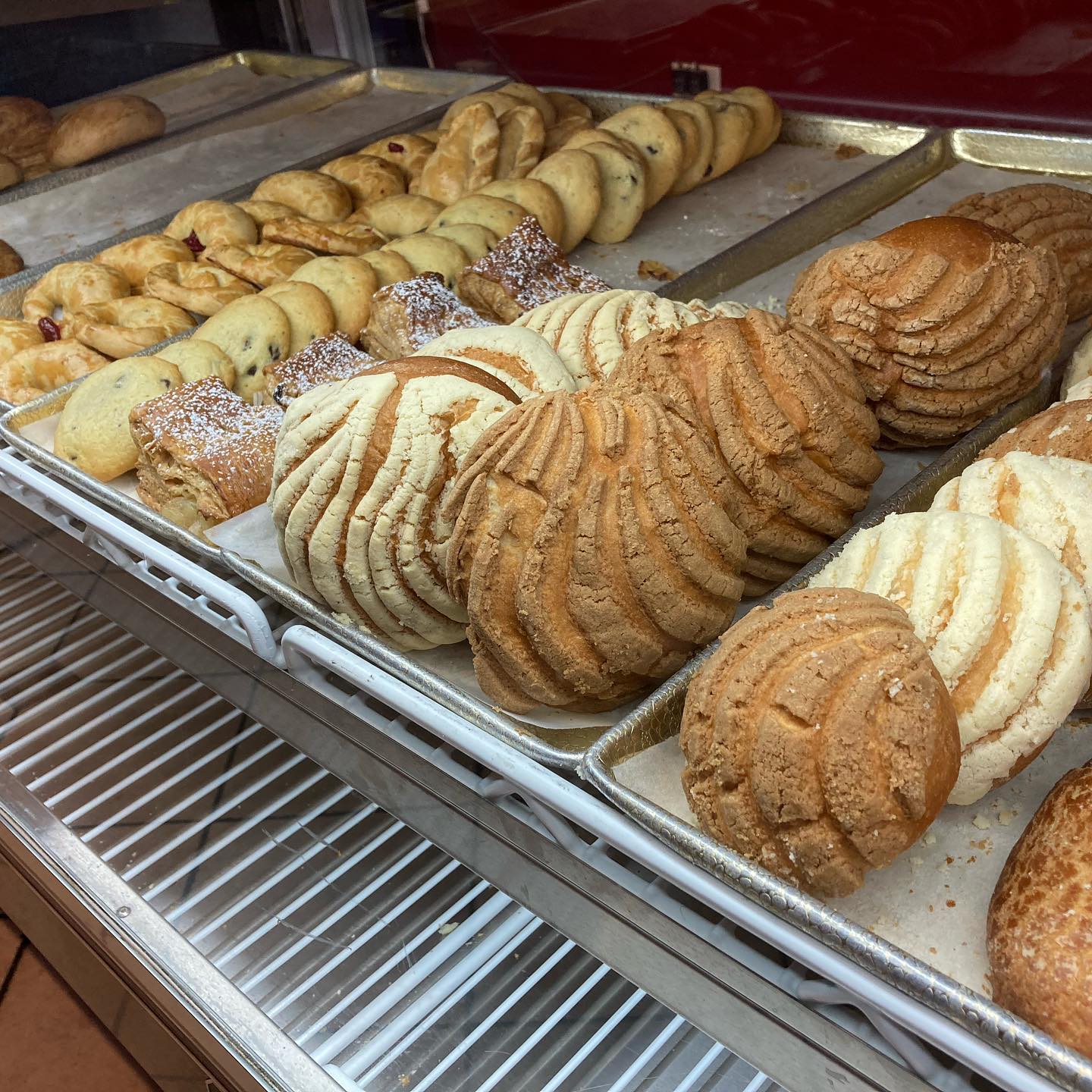 Cubans sandwich with a refugiado and concha