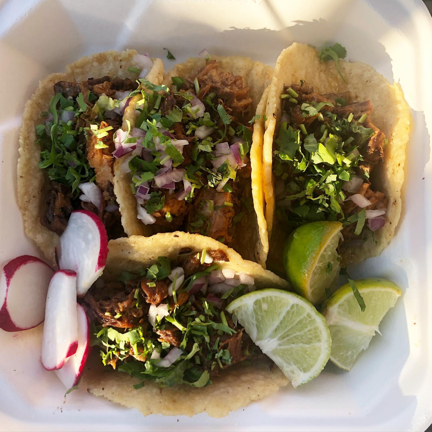 Birria tacos, carne asada nachos, and ceviche
