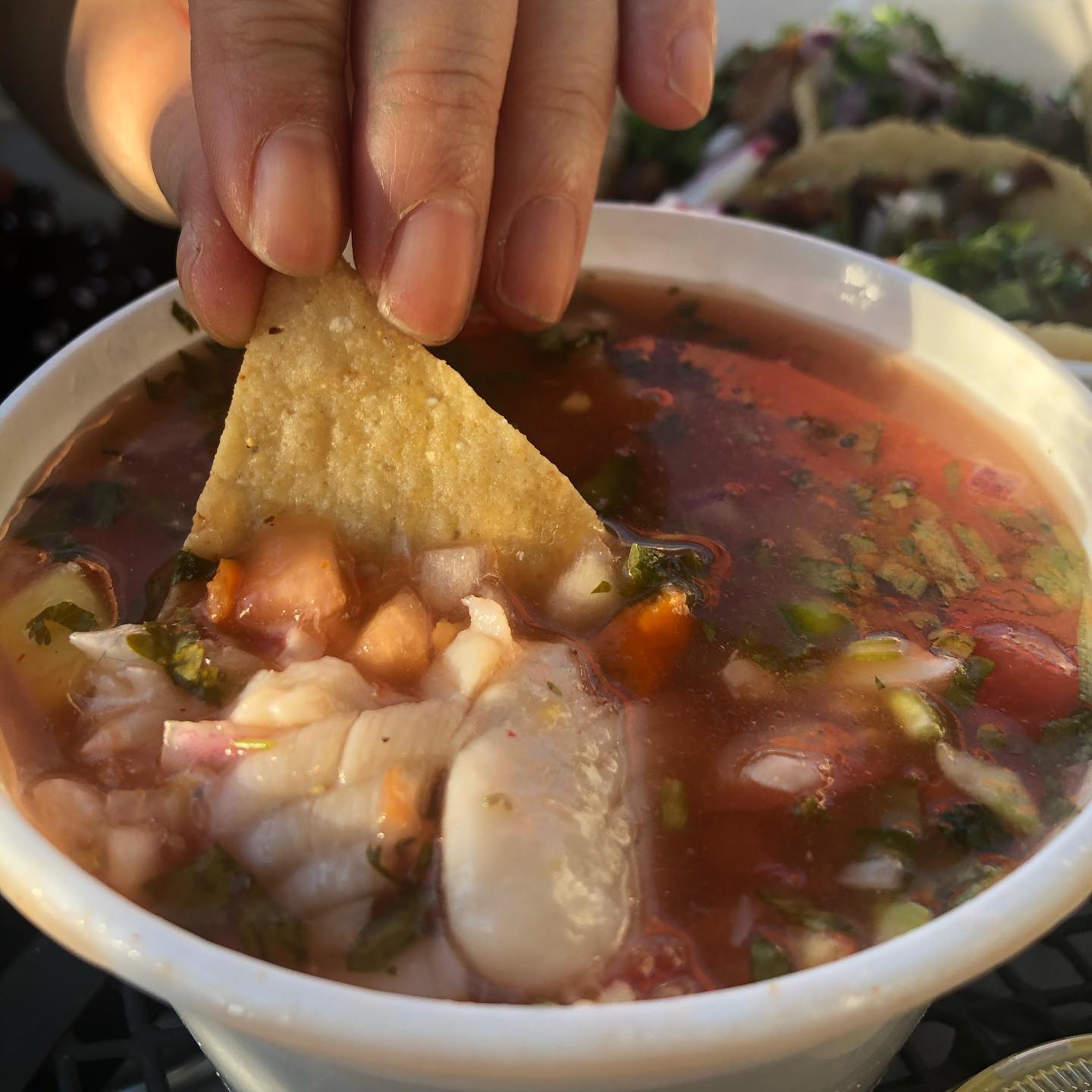 Birria tacos, carne asada nachos, and ceviche